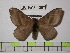  ( - BC-FMP-1297)  @13 [ ] Copyright (2010) Unspecified Research Collection of Frank Meister