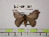  ( - BC-FMP-1298)  @12 [ ] Copyright (2010) Unspecified Research Collection of Frank Meister