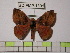 ( - BC-FMP-1301)  @13 [ ] Copyright (2010) Unspecified Research Collection of Frank Meister