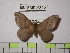  ( - BC-FMP-1302)  @13 [ ] Copyright (2010) Unspecified Research Collection of Frank Meister
