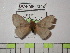  ( - BC-FMP-1304)  @13 [ ] Copyright (2010) Unspecified Research Collection of Frank Meister