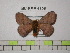  ( - BC-FMP-1305)  @14 [ ] Copyright (2010) Unspecified Research Collection of Frank Meister