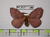  ( - BC-FMP-1306)  @13 [ ] Copyright (2010) Unspecified Research Collection of Frank Meister