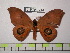  ( - BC-FMP-1312)  @13 [ ] Copyright (2010) Unspecified Research Collection of Frank Meister
