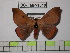  ( - BC-FMP-1319)  @14 [ ] Copyright (2010) Unspecified Research Collection of Frank Meister