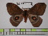  ( - BC-FMP-1321)  @13 [ ] Copyright (2010) Unspecified Research Collection of Frank Meister