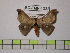  ( - BC-FMP-1322)  @13 [ ] Copyright (2010) Unspecified Research Collection of Frank Meister