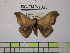  ( - BC-FMP-1323)  @13 [ ] Copyright (2010) Unspecified Research Collection of Frank Meister