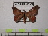  ( - BC-FMP-1324)  @13 [ ] Copyright (2010) Unspecified Research Collection of Frank Meister