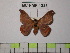  ( - BC-FMP-1325)  @13 [ ] Copyright (2010) Unspecified Research Collection of Frank Meister