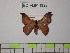  ( - BC-FMP-1326)  @13 [ ] Copyright (2010) Unspecified Research Collection of Frank Meister