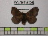  ( - BC-FMP-1331)  @13 [ ] Copyright (2010) Unspecified Research Collection of Frank Meister