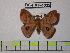  ( - BC-FMP-1332)  @12 [ ] Copyright (2010) Unspecified Research Collection of Frank Meister