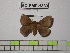  ( - BC-FMP-1333)  @11 [ ] Copyright (2010) Unspecified Research Collection of Frank Meister