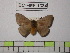  ( - BC-FMP-1334)  @12 [ ] Copyright (2010) Unspecified Research Collection of Frank Meister