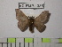  ( - BC-FMP-1335)  @12 [ ] Copyright (2010) Unspecified Research Collection of Frank Meister