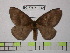  ( - BC-FMP-1343)  @14 [ ] Copyright (2010) Unspecified Research Collection of Frank Meister