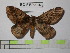  ( - BC-FMP-1346)  @13 [ ] Copyright (2010) Unspecified Research Collection of Frank Meister