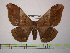  ( - BC-FMP-1408)  @14 [ ] Copyright (2010) Unspecified Research Collection of Frank Meister