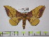  ( - BC-FMP-1428)  @13 [ ] Copyright (2010) Unspecified Research Collection of Frank Meister
