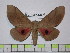  ( - BC-FMP-1476)  @11 [ ] Copyright (2010) Unspecified Research Collection of Frank Meister