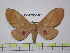  ( - BC-FMP-1477)  @14 [ ] Copyright (2010) Unspecified Research Collection of Frank Meister