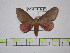 ( - BC-FMP-1487)  @15 [ ] Copyright (2010) Unspecified Research Collection of Frank Meister
