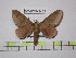  ( - BC-FMP-1488)  @14 [ ] Copyright (2010) Unspecified Research Collection of Frank Meister