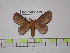  ( - BC-FMP-1489)  @13 [ ] Copyright (2010) Unspecified Research Collection of Frank Meister