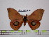  ( - BC-FMP-1506)  @13 [ ] Copyright (2010) Unspecified Research Collection of Frank Meister