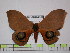  ( - BC-FMP-1507)  @13 [ ] Copyright (2010) Unspecified Research Collection of Frank Meister