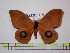  ( - BC-FMP-1513)  @13 [ ] Copyright (2010) Unspecified Research Collection of Frank Meister