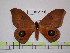  ( - BC-FMP-1514)  @13 [ ] Copyright (2010) Unspecified Research Collection of Frank Meister