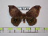  ( - BC-FMP-1517)  @12 [ ] Copyright (2010) Unspecified Research Collection of Frank Meister