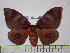  ( - BC-FMP-1518)  @14 [ ] Copyright (2010) Unspecified Research Collection of Frank Meister