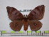 ( - BC-FMP-1519)  @14 [ ] Copyright (2010) Unspecified Research Collection of Frank Meister