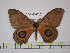  ( - BC-FMP-1527)  @14 [ ] Copyright (2010) Unspecified Research Collection of Frank Meister