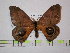  ( - BC-FMP-1528)  @13 [ ] Copyright (2010) Unspecified Research Collection of Frank Meister