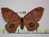  ( - BC-FMP-1529)  @13 [ ] Copyright (2010) Unspecified Research Collection of Frank Meister