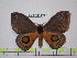  ( - BC-FMP-1533)  @11 [ ] Copyright (2010) Unspecified Research Collection of Frank Meister