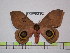  ( - BC-FMP-1534)  @14 [ ] Copyright (2010) Unspecified Research Collection of Frank Meister