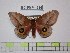  ( - BC-FMP-1536)  @14 [ ] Copyright (2010) Unspecified Research Collection of Frank Meister