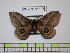  ( - BC-FMP-1537)  @13 [ ] Copyright (2010) Unspecified Research Collection of Frank Meister