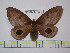  ( - BC-FMP-1540)  @13 [ ] Copyright (2010) Unspecified Research Collection of Frank Meister