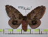  ( - BC-FMP-1541)  @13 [ ] Copyright (2010) Unspecified Research Collection of Frank Meister