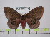  ( - BC-FMP-1542)  @13 [ ] Copyright (2010) Unspecified Research Collection of Frank Meister