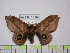  ( - BC-FMP-1551)  @11 [ ] Copyright (2010) Unspecified Research Collection of Frank Meister