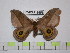  ( - BC-FMP-1555)  @13 [ ] Copyright (2010) Unspecified Research Collection of Frank Meister