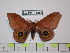  ( - BC-FMP-1556)  @14 [ ] Copyright (2010) Unspecified Research Collection of Frank Meister