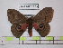  ( - BC-FMP-1562)  @12 [ ] Copyright (2010) Unspecified Research Collection of Frank Meister